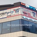용인대 태권 Fighting 이미지