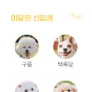 털로덮인친구들 동탄호수공원점 이미지