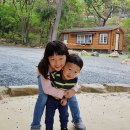 코끼리 관광농원 이미지
