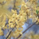 사주로 배우는 삶의 지혜 이미지