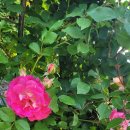 휴스테이 청주 이미지