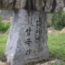 인삼직판장 티스토리