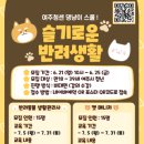 반려견,반려묘를 위한 반려동물관리사 이미지