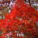 지리산거림계곡 이미지