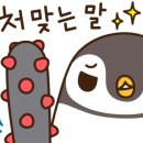 키즈다쿵 - 순천시 신대4길 4-57 | 키즈다쿵