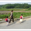 위례초등학교 이미지