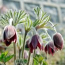 평심요양병원 이미지