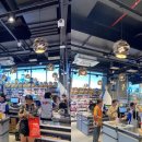 이노시티 이미지