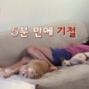 사수민박 이미지
