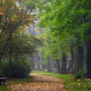 축원목장 이미지