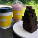 광릉내 애견 이미지