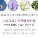잠이솔솔 네이버블로그