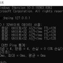 Ping 이미지