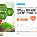 코스모스카 이미지