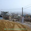 용화산들꽃향기