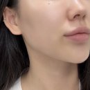 영운 상22호(비5) | 디어달리아 비비크림 내돈내산 21N 22N 색상 비교 파데 꿀조합