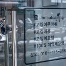 봄동살롱 이미지