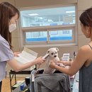 대구축산 동물병원 이미지