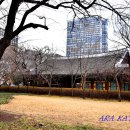 대구 경상감영지(大邱 慶尙監營址) 이미지