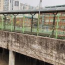 응봉초등학교(운동장)