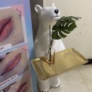 달별브로우랩