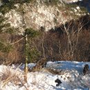 남양주축산업협동조합 이미지