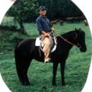 경주목장 이미지