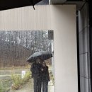 세종/대전 브런치 카페 추천 : 가배서림