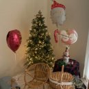 티에라 비바 이미지