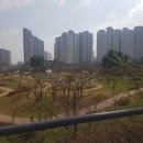 칠보마을9단지(아) 네이버블로그