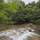 옥룡농장 이미지