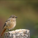 산서농협 앞 이미지