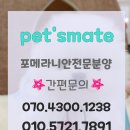 남양주 애견샵 이미지