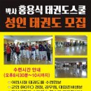 박사 홍용식 태권도 스쿨 네이버블로그