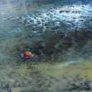 투데이사라 이미지