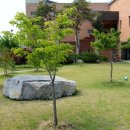 일심교회 이미지