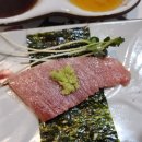 다운참치 이미지