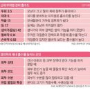 인셀덤아인