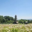 현종농장 이미지