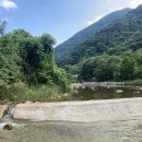 포레스트 월악 이미지