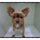 두리종합동물병원 이미지