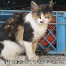 마음의 문 이미지