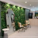 숲속세신 이미지