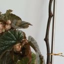 행복가든 이미지