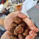 양촌랜드 이미지