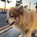 호텔제부도 이미지