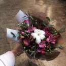 목화유치원 이미지