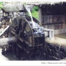 메기의 추억 이미지