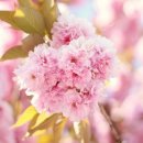 우리 늘 이미지