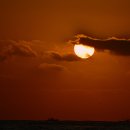 오시리아 이미지